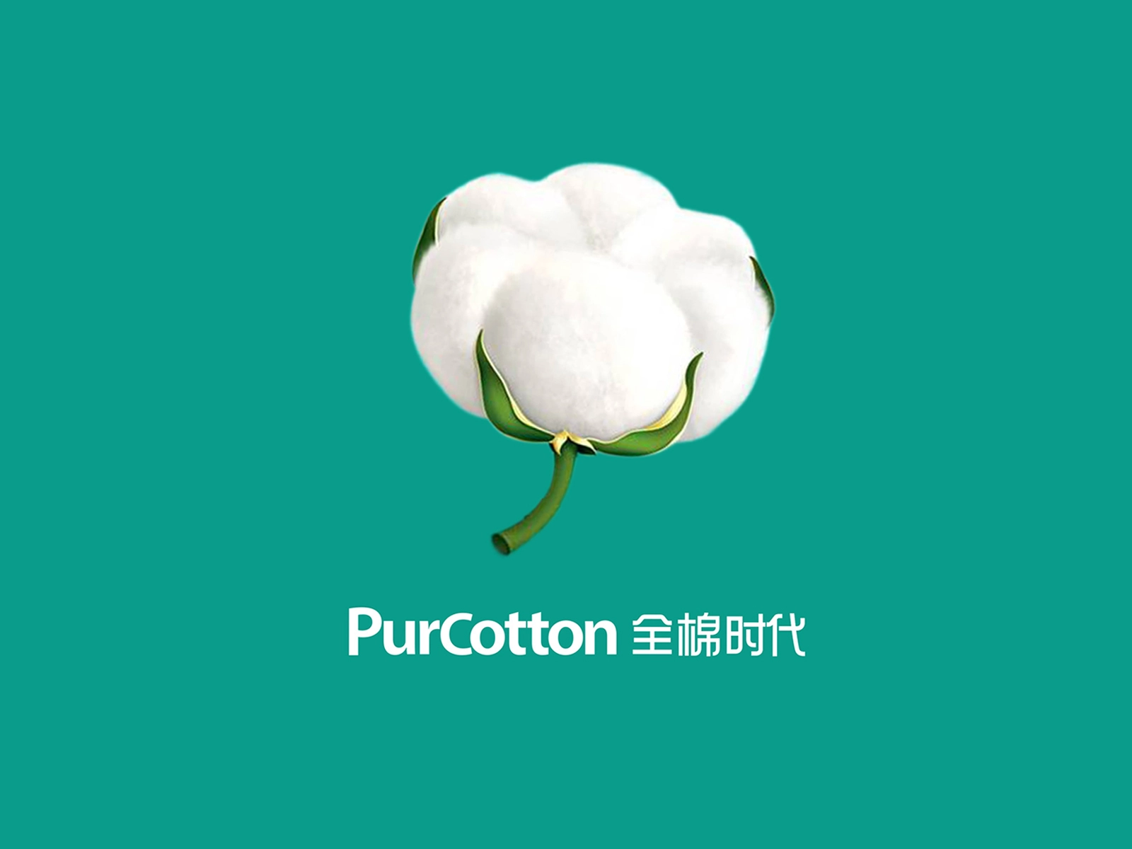 全棉时代